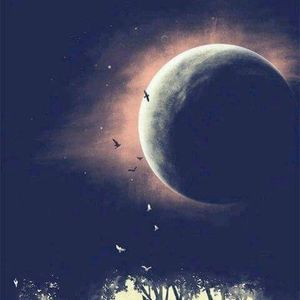 Meet your Posher, Rändä